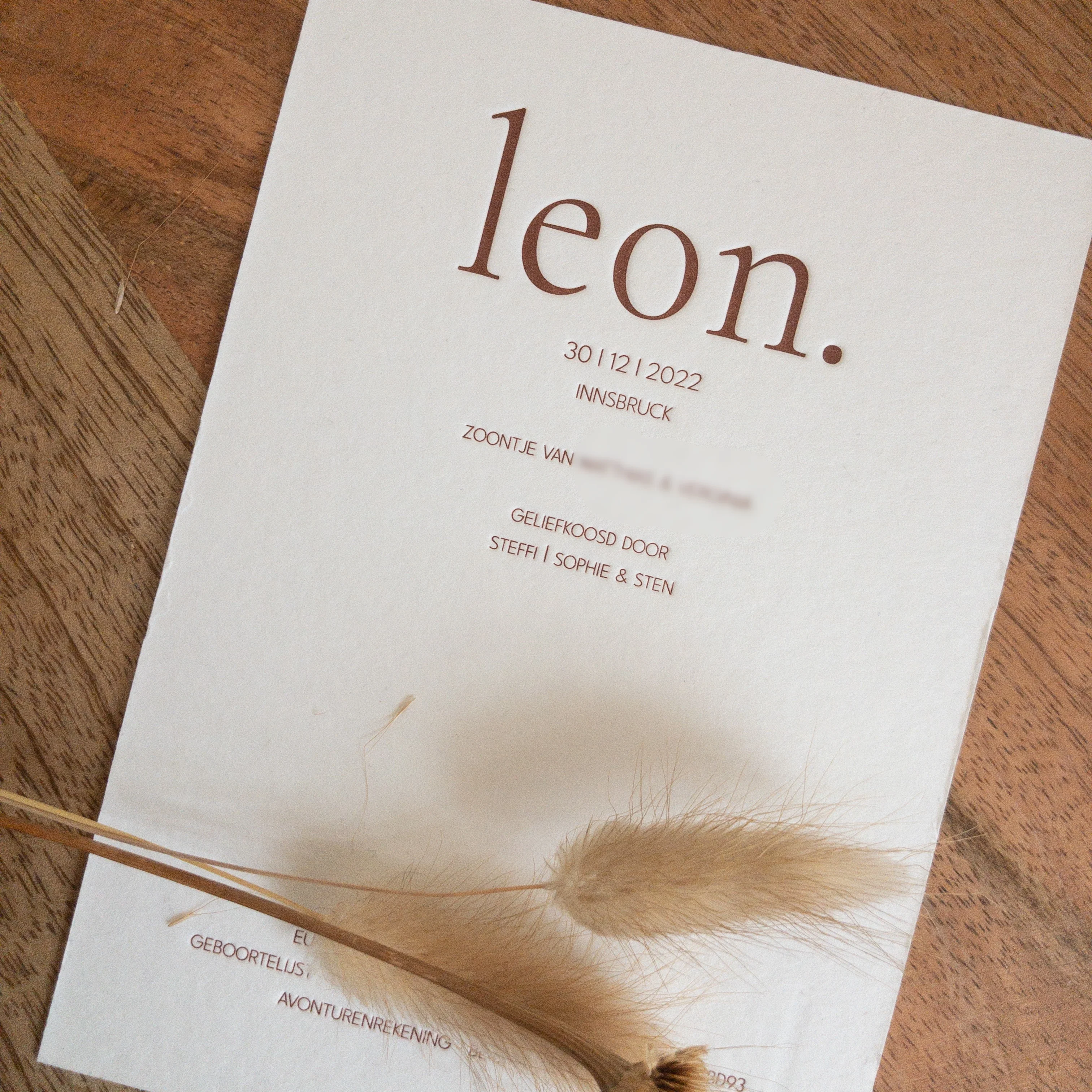 Leon detail 1